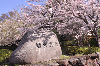 櫻木神社