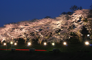 運河水辺公園