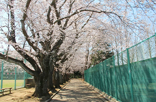 鎌ケ谷市制記念公園