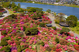 つつじが岡公園