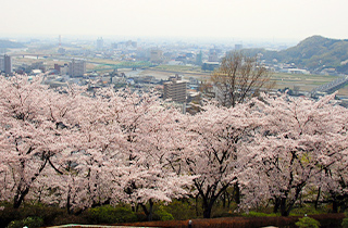 織姫公園