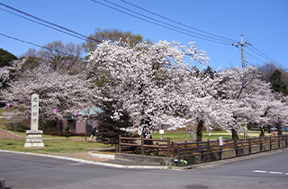 足利公園