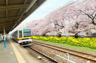 宇都宮線「国谷駅」