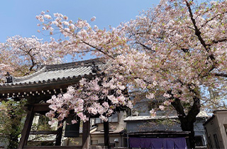 蓮馨寺