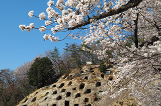 市野川堤・吉見百穴