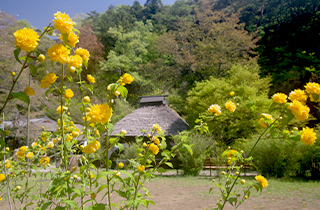 山吹の里歴史公園