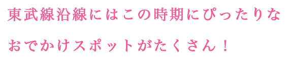 東武線沿線にはこの時期にぴったりなおでかけスポットがたくさん！