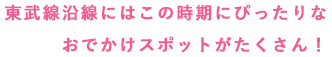 東武線沿線にはこの時期にぴったりなおでかけスポットがたくさん！