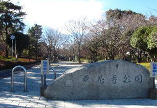 華蔵寺公園1