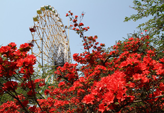 華蔵寺公園2