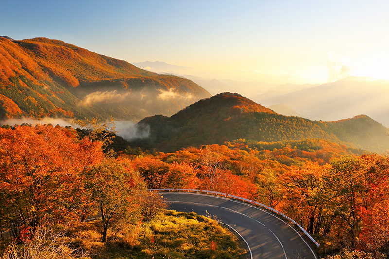 48の急カーブが名前の由来 日光の秋を代表する紅葉の名所 いろは坂