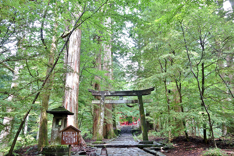 開運 良縁を願うなら日光へ 日光山内のパワースポットはこうして巡ろう