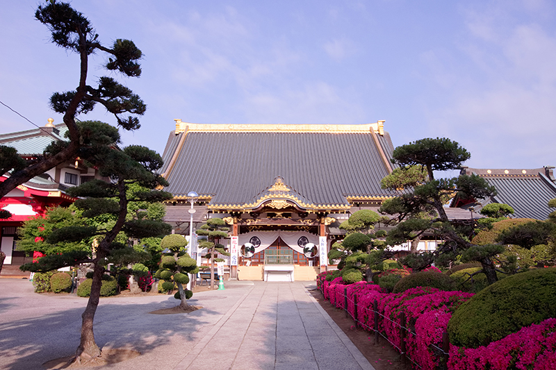 初詣 佐野 厄除け 大師 初詣は関東の三大師【佐野厄よけ大師】で！ 佐野を満喫できるスポット！