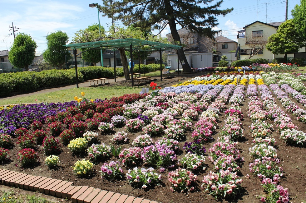 上ノ台公園