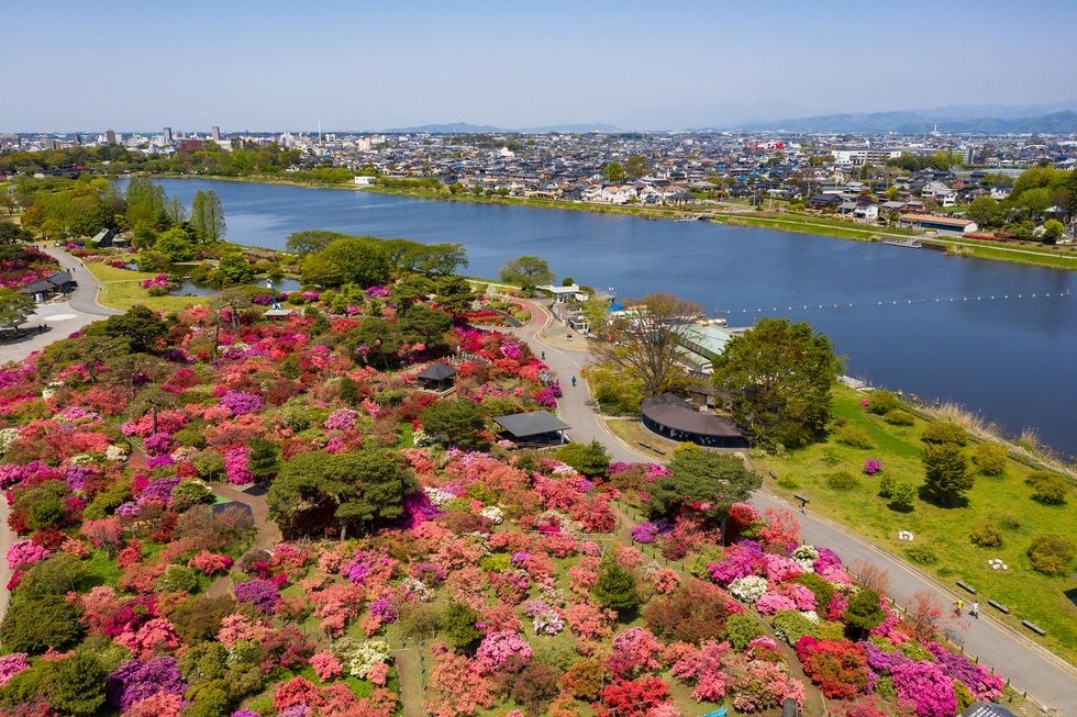 つつじが岡公園