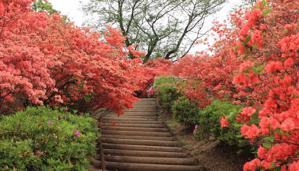 物見山公園
