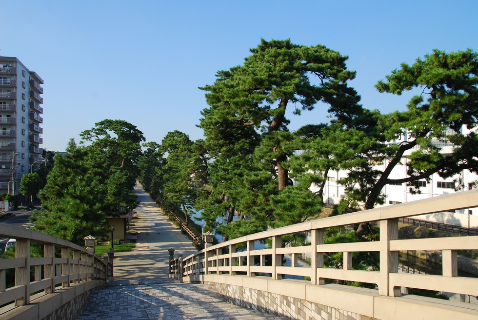 草加松原（国指定名勝）