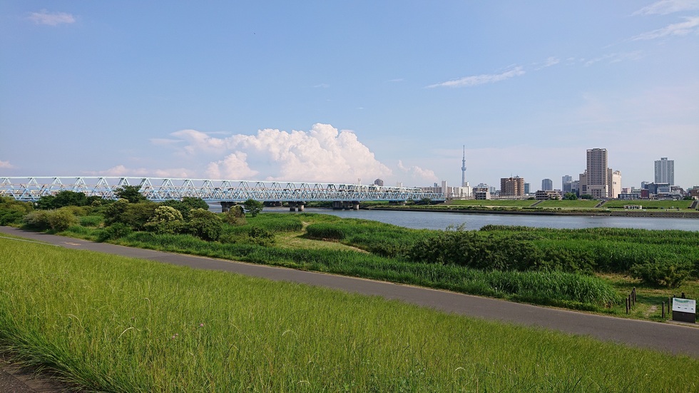千住新橋からのぞむ千住の街並み