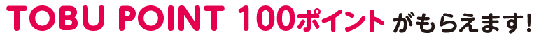 TOBU POINT 100ポイント