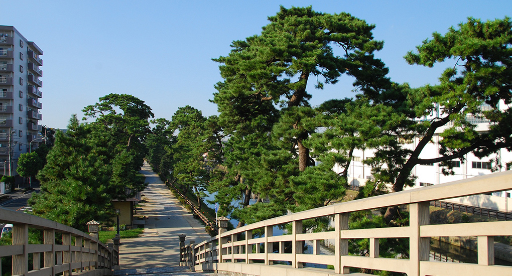 草加松原