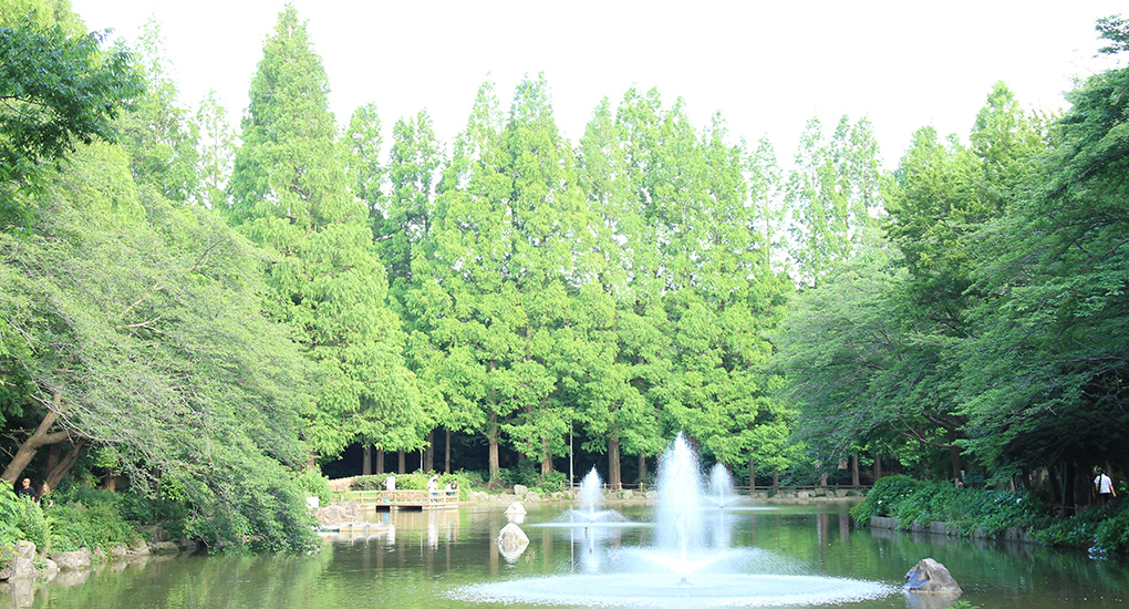 貝柄山公園