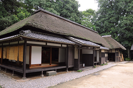 東綾瀬公園