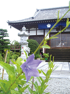 多宝寺