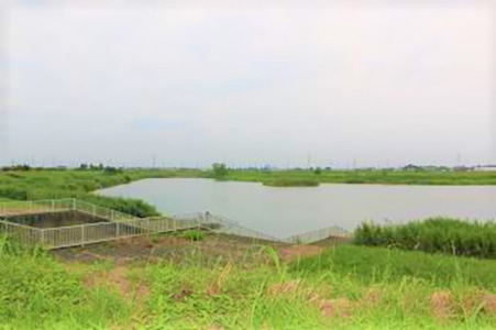 大島新田調節池