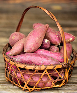 三芳町 富の川越いも