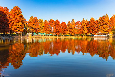 タイトル：秋の鏡／撮影者：イシュン