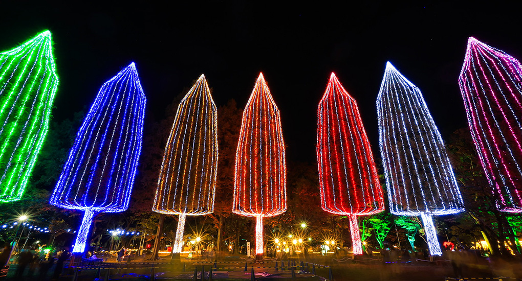 タイトル：イルミネーションツリー／撮影者：トール