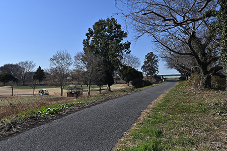 谷田川土手とゴルフ場