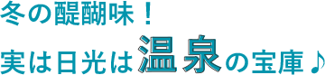 冬の醍醐味！実は日光は温泉の宝庫♪