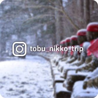 #tobu_nikko_trip