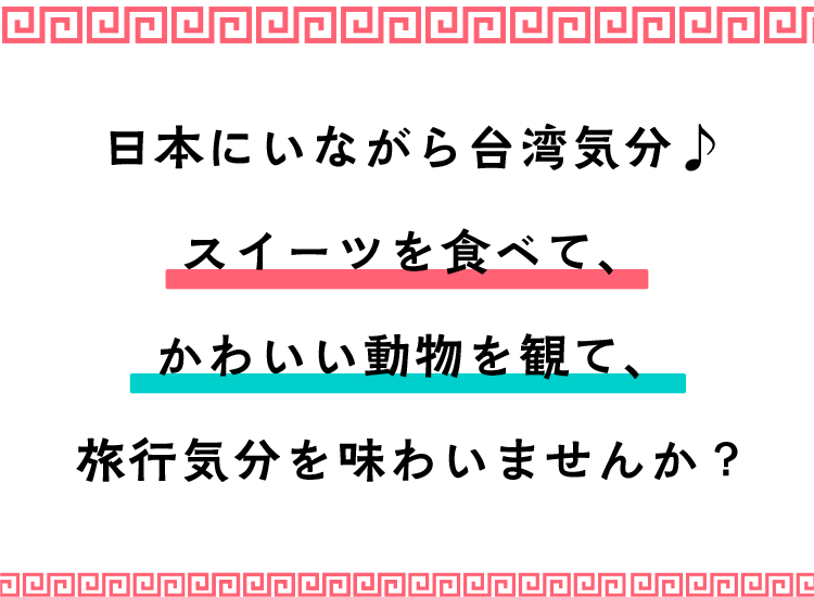 日本にいながら台湾旅行気分♪スイーツを食べて、かわいい動物を観て、旅行気分を味わいませんか？