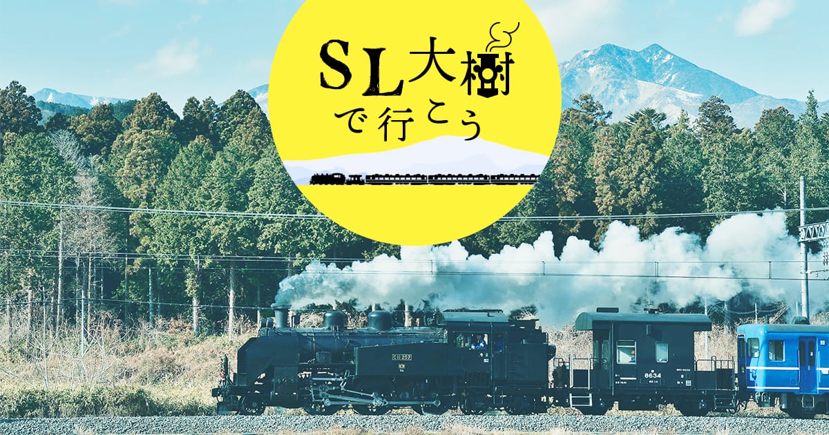 SL大樹 編成・車両｜SL大樹をもっと知る SL大樹 - tobu.co.jp