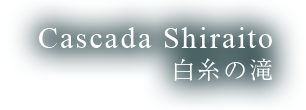 Cascada Shiraito