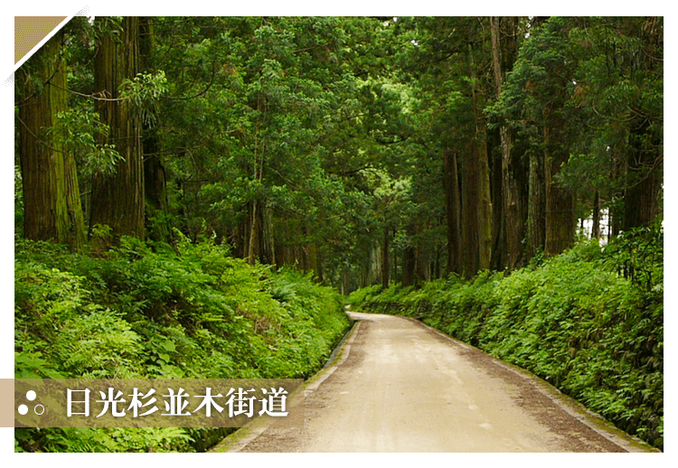 日光杉並木街道