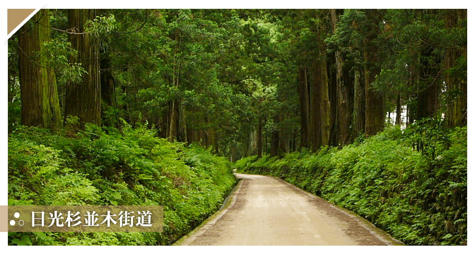日光杉並木街道