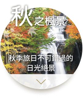 秋之楓景