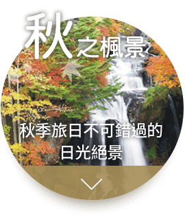 秋之楓景