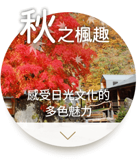 秋之楓趣