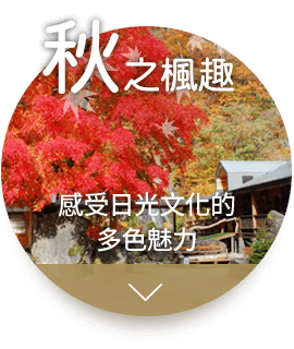 秋之楓趣