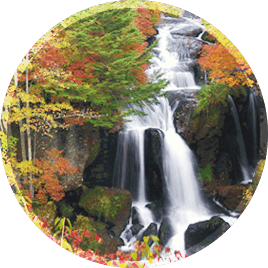 出發享受日光慢旅遊
