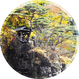 出發享受日光慢旅遊