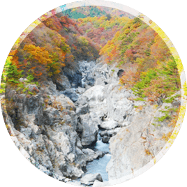 出發享受日光慢旅遊