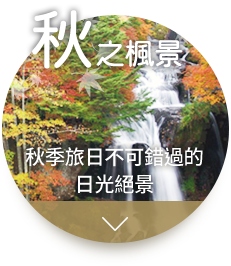 秋之楓景