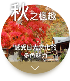 秋之楓趣
