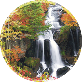 出發享受日光慢旅遊