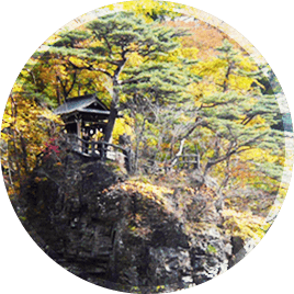 出發享受日光慢旅遊